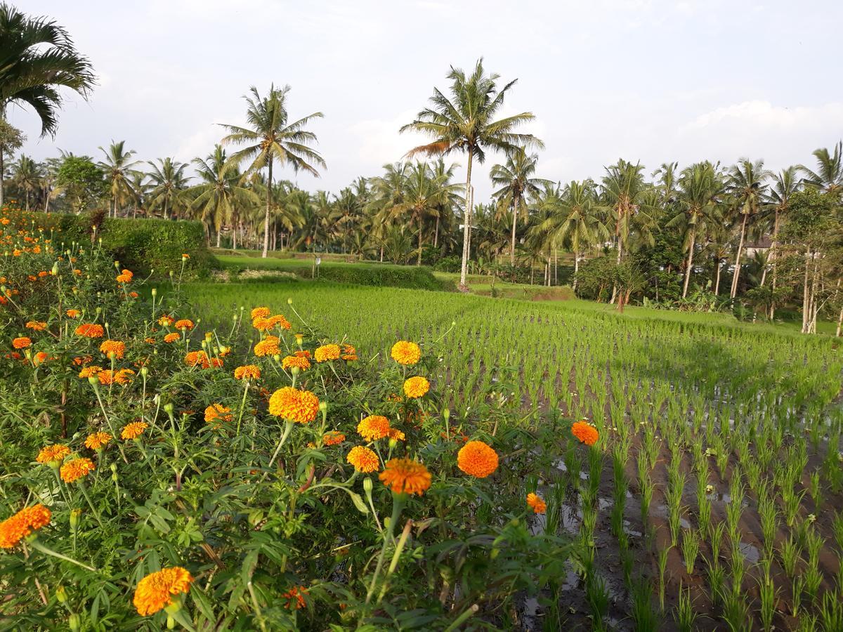 Ubud Syailendra Villas Exterior foto
